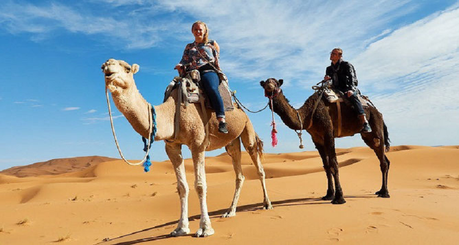 1 Night Merzouga Camel Trekking